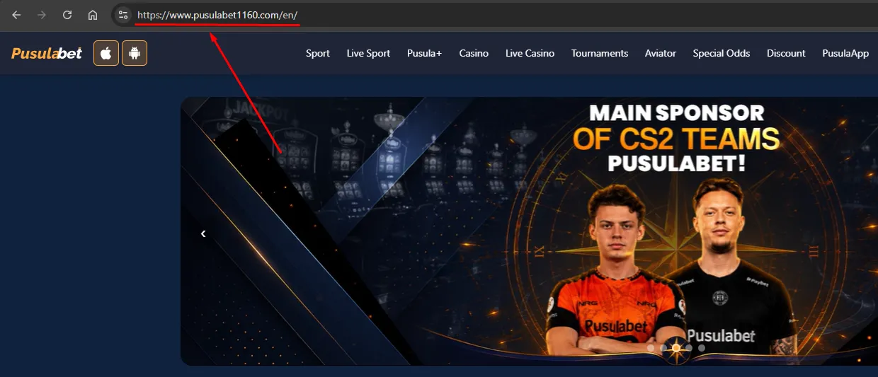 Passo 1: acessar o site oficial