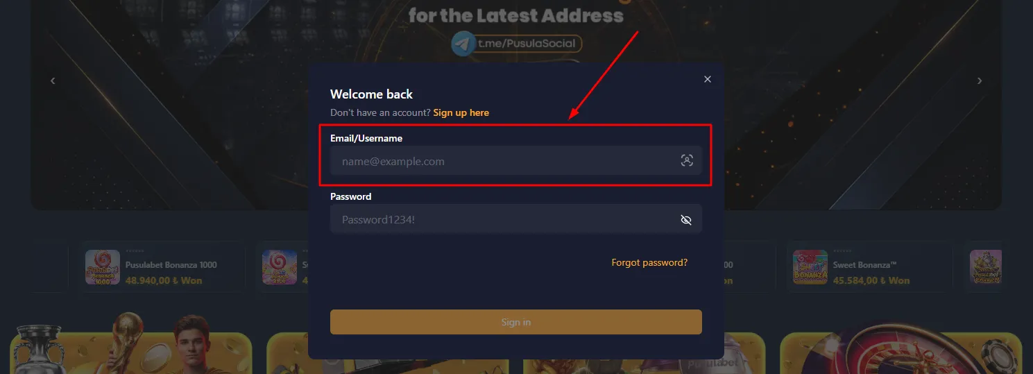 Passo 3: inserir e-mail ou usuário