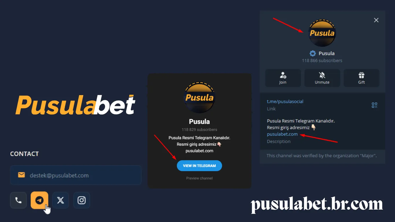 Canais confiáveis: Telegram e site oficial